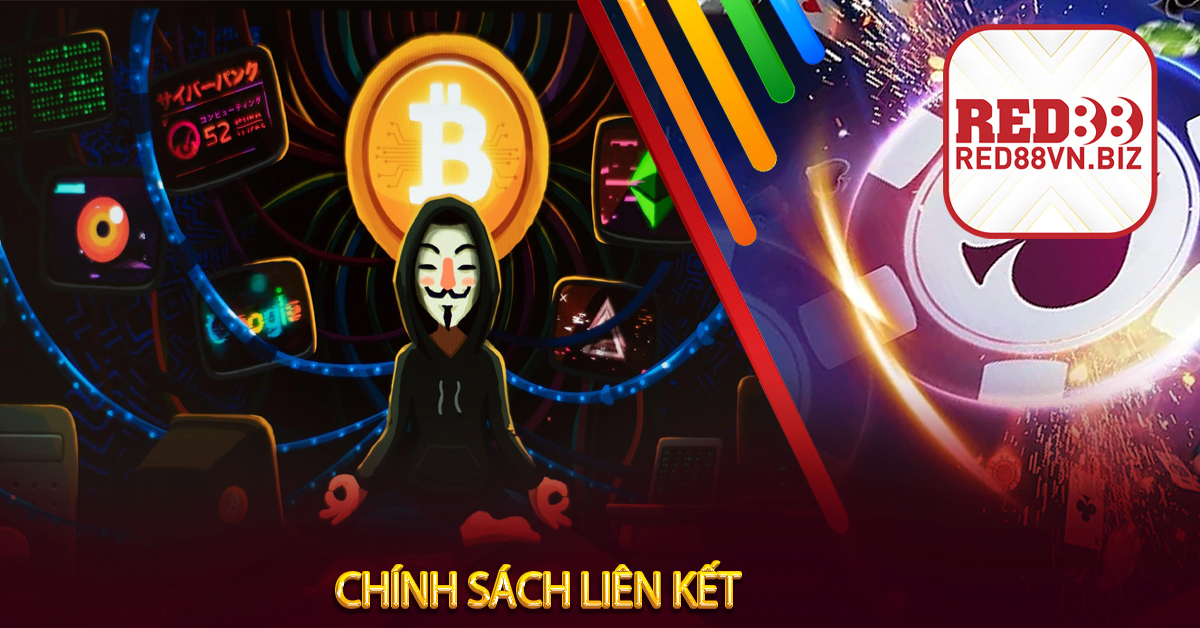 Chính sách liên kết