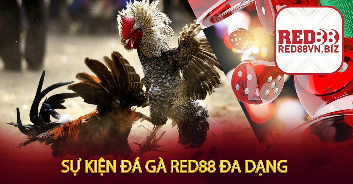 Sự Kiện Đá Gà Red88 Đa Dạng
