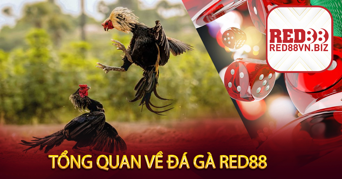 Tổng Quan Về Đá Gà Red88