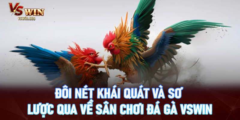 Đôi nét khái quát và sơ lược qua về sân chơi đá gà Vswin