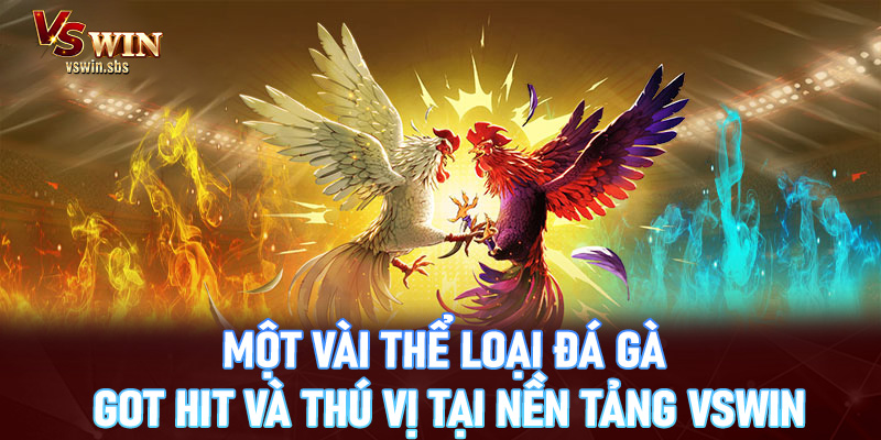 Một vài thể loại đá gà got hit và thú vị tại nền tảng Vswin