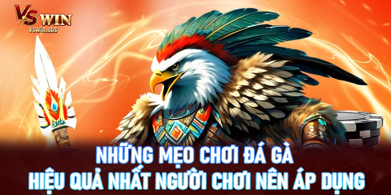 Những mẹo chơi đá gà hiệu quả nhất người chơi nên áp dụng