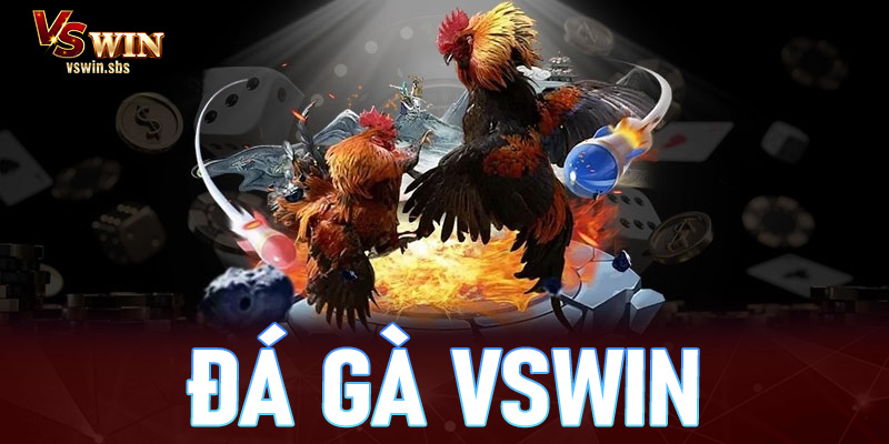 Đá gà vswin