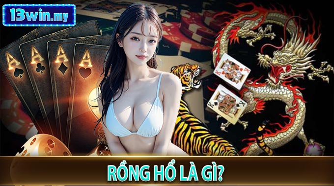 Rồng Hổ Là Gì?