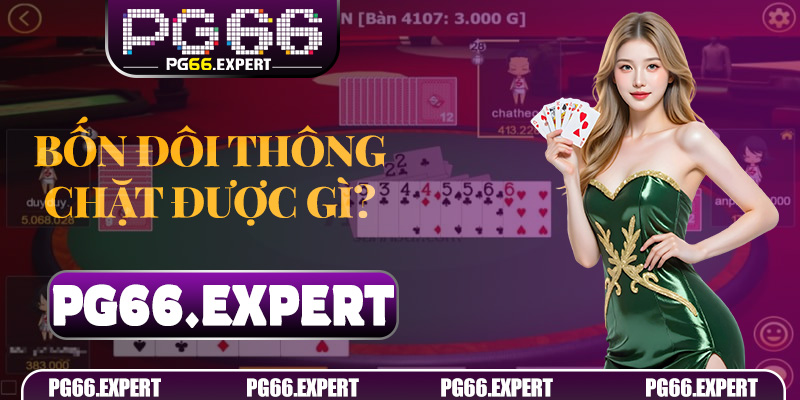 Bốn Đôi Thông Chặt Được Gì? Giải Đáp Cực Chuẩn Từ Chuyên Gia PG66