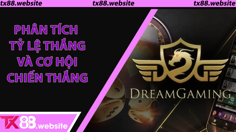 Phân tích tỷ lệ thắng và cơ hội chiến thắng